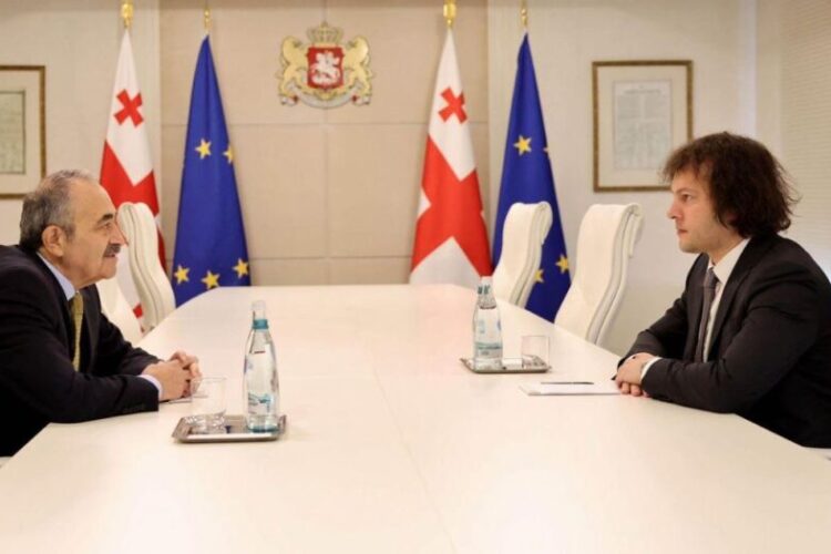 ირაკლი კობახიძე გერმანიასა და ჩეხეთში საქართველოს ახლად დანიშნულ ელჩებს შეხვდა