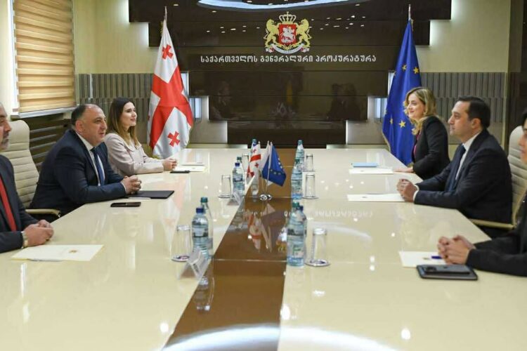 საქართველოს გენერალური პროკურორი გიორგი გვარაკიძე, სახალხო დამცველს ლევან იოსელიანს შეხვდა