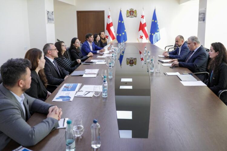 მიხეილ სარჯველაძე შვეიცარიული ფარმაცევტული კომპანიის, „ნოვარტისის“ წარმომადგენლებს შეხვდა