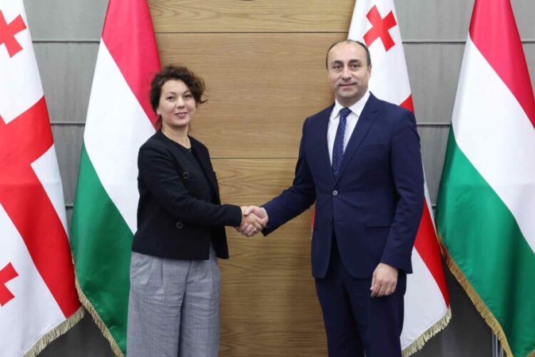 შს მინისტრმა უნგრეთის ელჩთან შეხვედრა გამართა