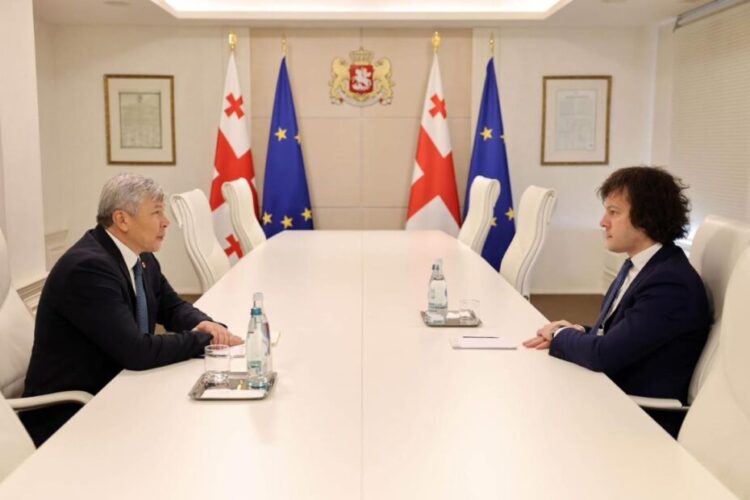 ირაკლი კობახიძე საქართველოში ყირგიზეთის საგანგებო და სრულუფლებიან ელჩს, მაკსატ მამიტკანოვს შეხვდა