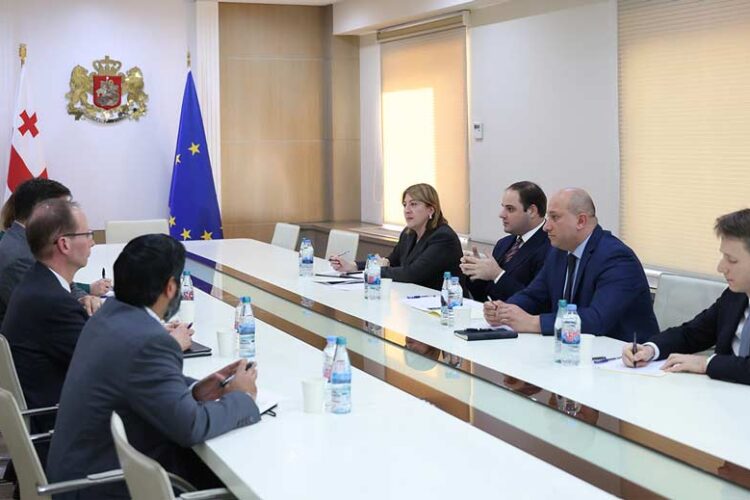 სახელმწიფო დეპარტამენტის დელეგაციასთან შეხვედრაზე ლევან ჟორჟოლიანმა აღნიშნა, რომ „საქართველოს მთავრობა ურთიერთობების დონით კმაყოფილი არ არის და ადასტურებს სტრატეგიული პარტნიორობის განახლების მზაობას“