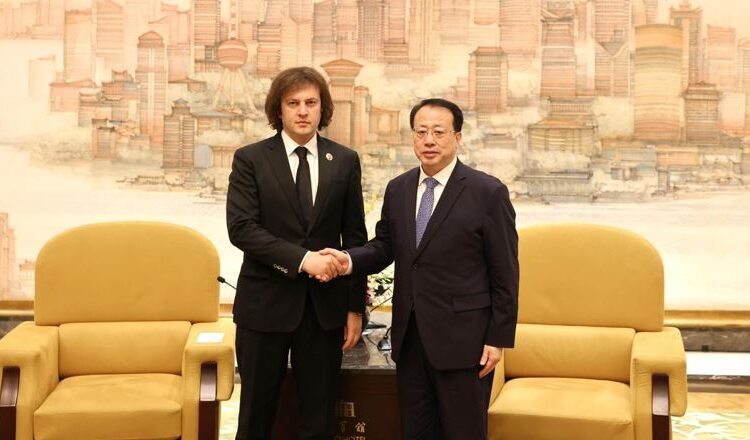 ირაკლი კობახიძე შანხაის მერს შეხვდა