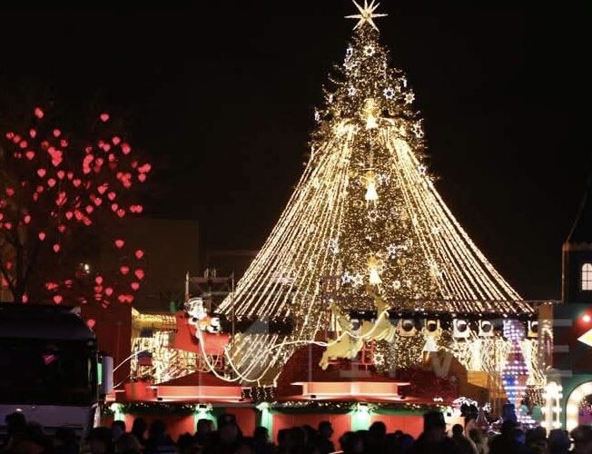 დედაქალაქში მთავარი ნაძვის ხე აინთო