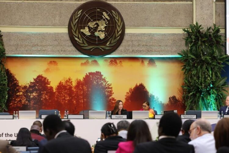 ნინო თანდილაშვილი გაერო-ს გარემოსდაცვითი ასამბლეის მერვე სესიის ვიცე-პრეზიდენტად, აღმოსავლეთ ევროპის ქვეყნების წარმომადგენლად მეორე ვადით აირჩიეს