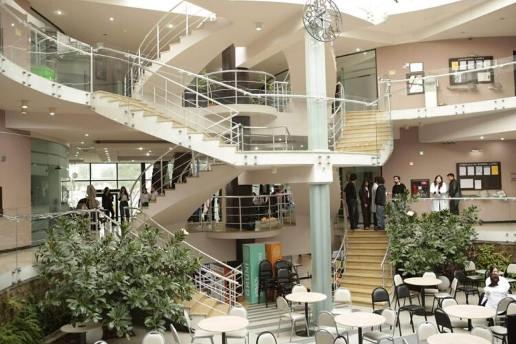 13 დეკემბერს, გრუნიში, ღია კარის დღე გაიმართა !