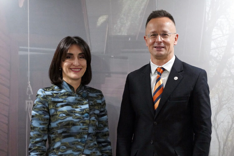 საგარეო საქმეთა სამინისტრო – მაკა ბოჭორიშვილმა და პიტერ სიიარტომ ისაუბრეს საქართველო-ევროკავშირის ურთიერთობებზე, მადლიერებით აღინიშნა უნგრეთის მხარდაჭერა საქართველოს პრიორიტეტებისადმი