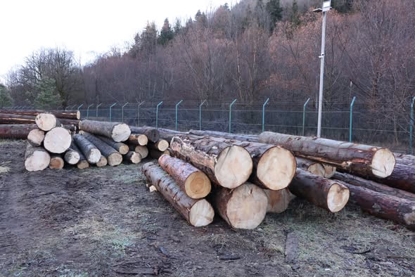 ეროვნული სატყეო სააგენტოს ცნობით, დაბა ბაკურიანში სამართალდარღვევის ორი ფაქტი გამოავლინეს