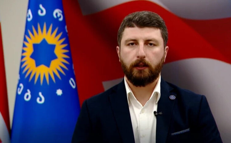 არჩილ გორდულაძე – კოლექტიურ „ნაცმოძრაობას“ კონსტიტუციაზე წარმოდგენა არ აქვს, მათი პოზიცია როცა მინიმალურ სტანდარტსაც ვერ აკმაყოფილებს დასაშვებად ცნობისთვის, ეს ხაზს უსვამს, რომ მავნებლები არიან