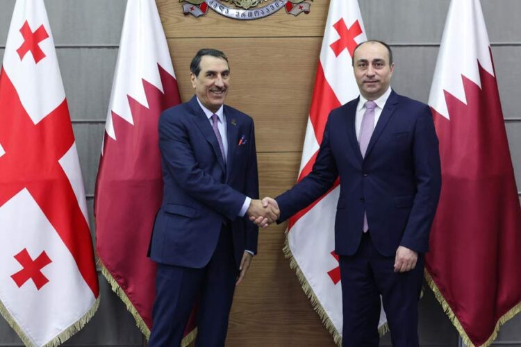 შინაგან საქმეთა მინისტრი კატარის ელჩს შეხვდა