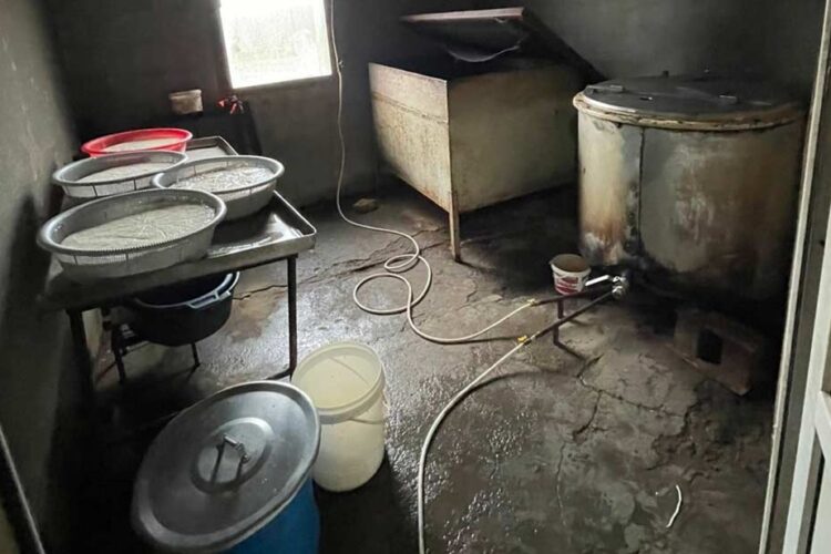 სურსათის ეროვნულმა სააგენტომ ქვემო ქართლში ყველის არალეგალური საწარმოები გამოავლინა