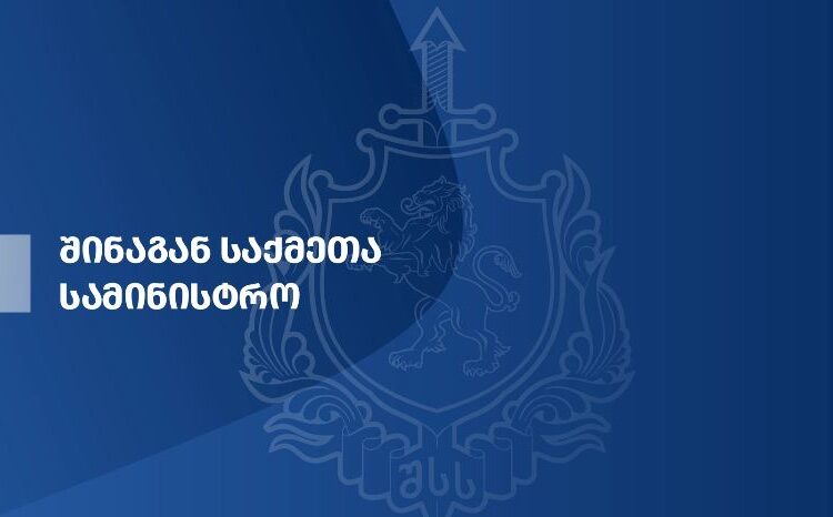 სახელმწიფოებრივი მედეგობის გარანტი – შინაგან საქმეთა სამინისტროს სისტემური ტრანსფორმაცია და მენეჯერული სტრატეგია