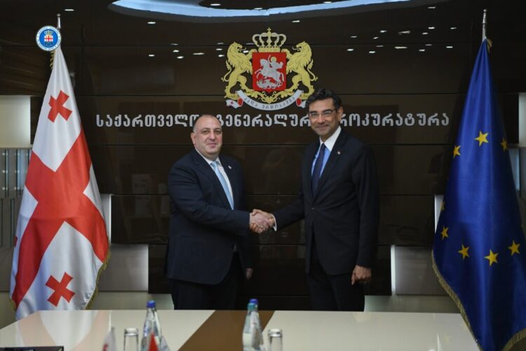 გიორგი გვარაკიძე საქართველოში თურქეთის ელჩს, მუსტაფა თურქერ არის შეხვდა