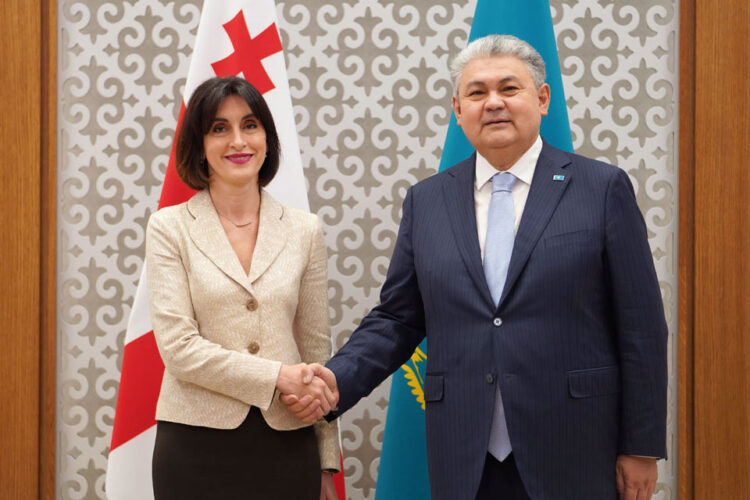 მაკა ბოჭორიშვილი ყაზახეთის საგარეო საქმეთა მინისტრს შეხვდა