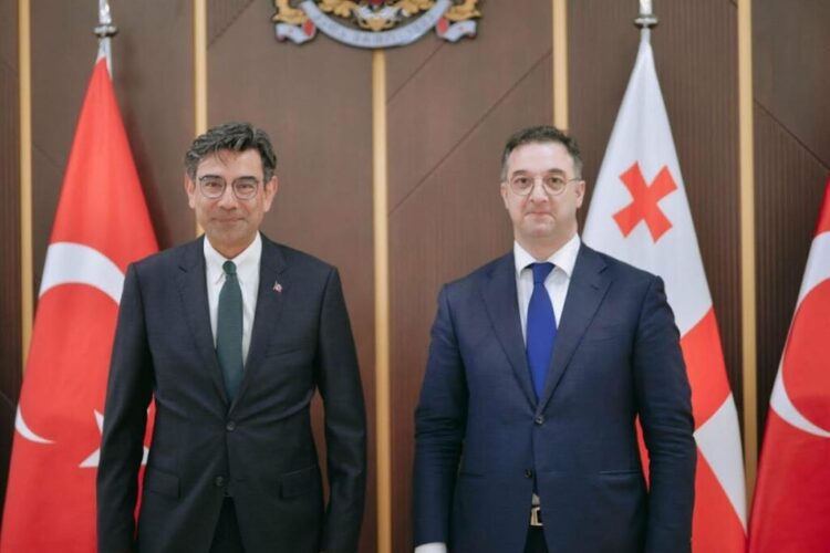 დავით სონღულაშვილი თურქეთის ელჩს, მუსტაფა თურქერ არის შეხვდა