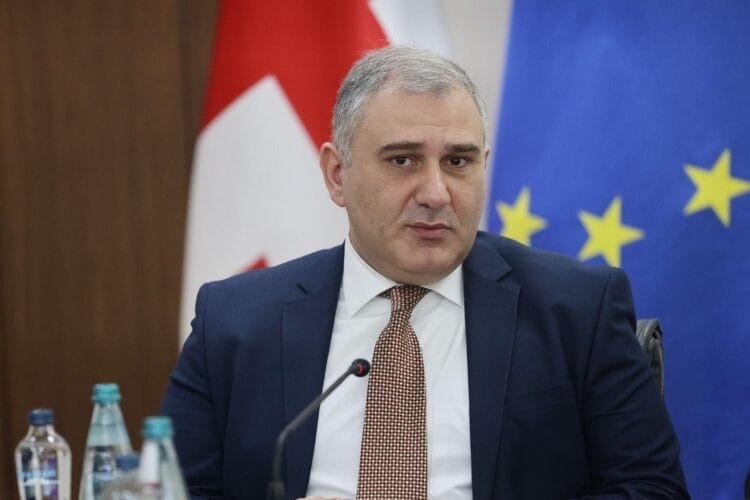 საქართველო, ჯანმრთელობაზე ორიენტირებული სახელმწიფო – ჯანდაცვის სისტემის განვითარების თანამედროვე ეტაპი და მიხეილ სარჯველაძის მასშტაბური ხედვა