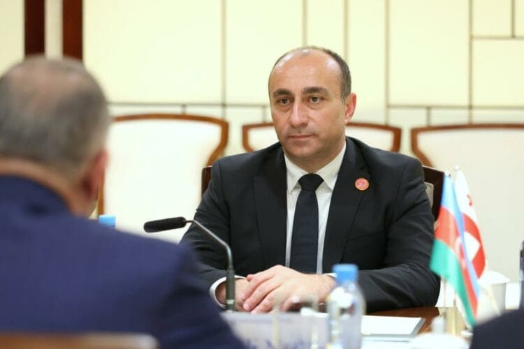 ჩინეთში ოფიციალური ვიზიტის ფარგლებში გეკა გელაძე ალი ნაგიევს შეხვდა