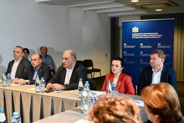 მიხეილ სარჯველაძემ პირველადი ჯანდაცვის რეფორმასთან დაკავშირებით კლინიკების წარმომადგენლებთან შეხვედრა გამართა